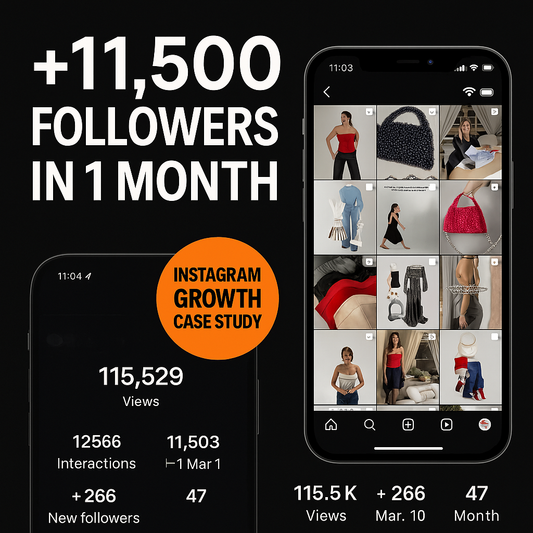 Instagram Growth for Fashion Brand